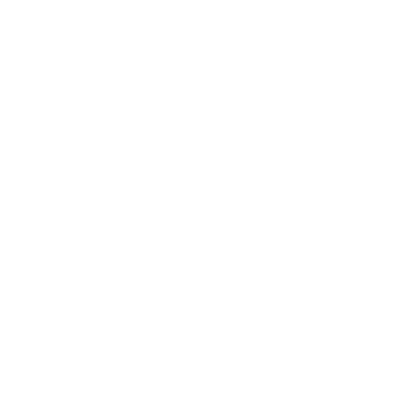 enduring financial logo