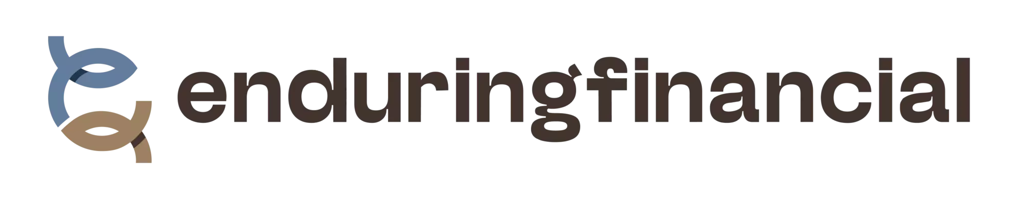 enduring financial logo