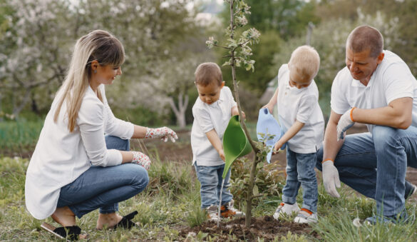 {{brizy_dc_image_alt entityId=