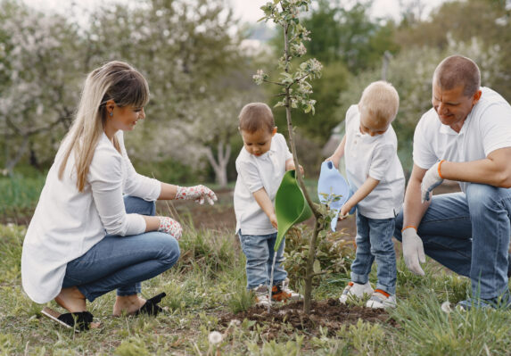 {{brizy_dc_image_alt entityId=