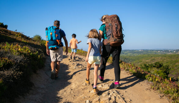 {{brizy_dc_image_alt entityId=